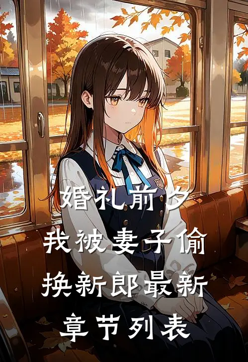 婚礼前夕，我被妻子偷换新郎最新章节列表