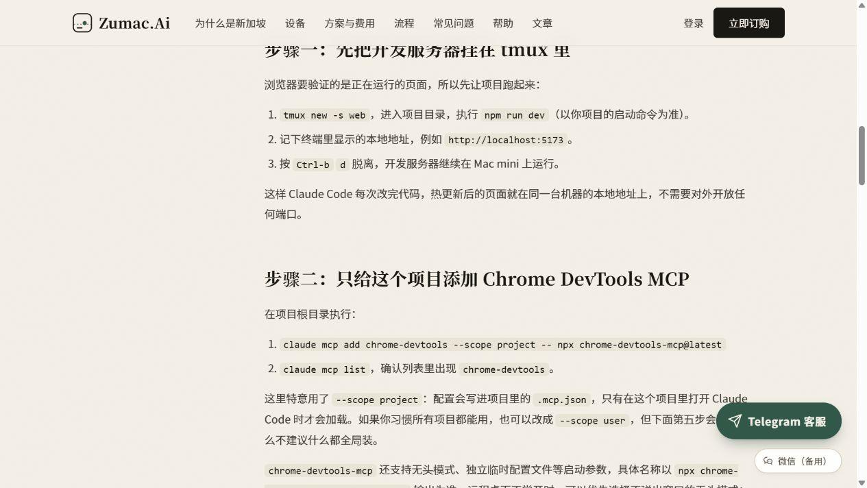 项目级安装 Chrome DevTools MCP 的命令和范围说明