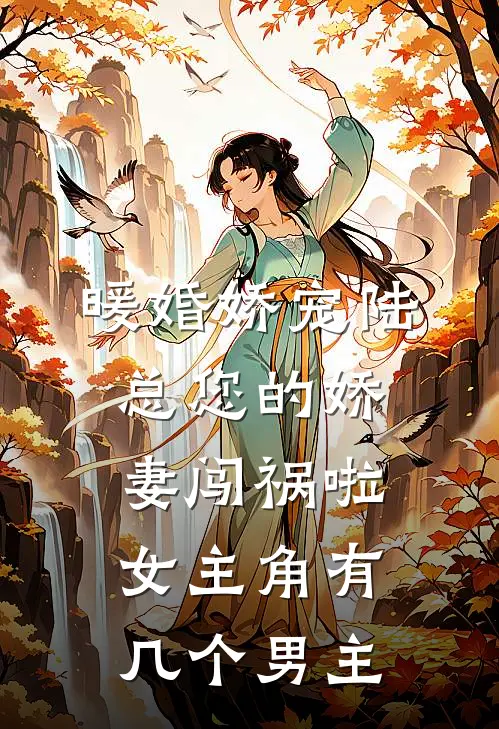 暖婚娇宠陆总您的娇妻闯祸啦女主角有几个男主