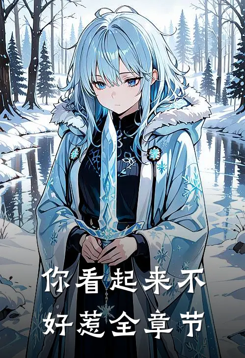 你看起来不好惹全章节
