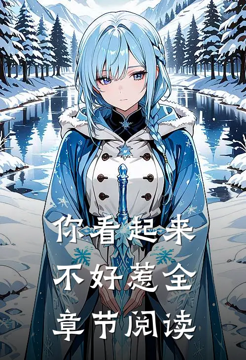 你看起来不好惹全章节阅读