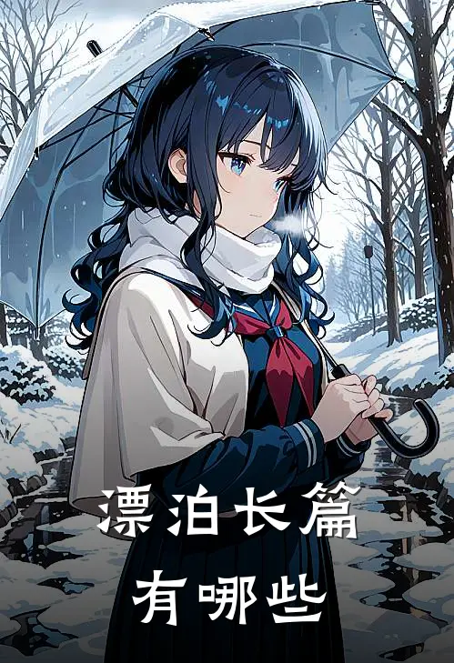 漂泊长篇有哪些