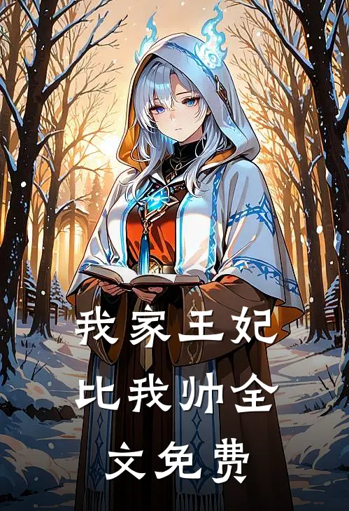 我家王妃比我帅全文免费