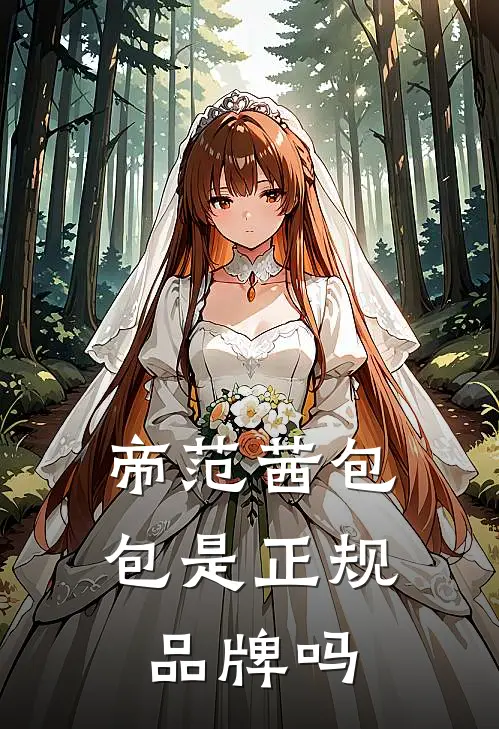 帝范茜包包是正规品牌吗