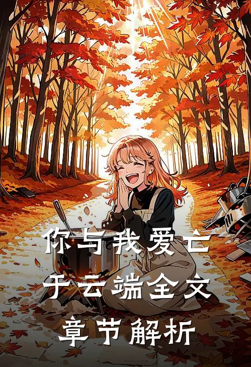你与我爱亡于云端全文章节解析