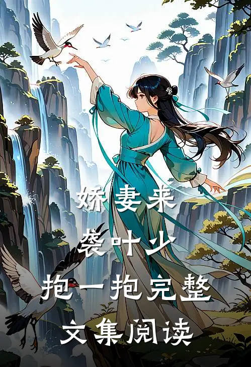 娇妻来袭叶少,抱一抱 完整文集阅读