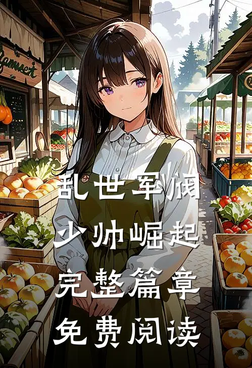 乱世军阀少帅崛起完整篇章免费阅读