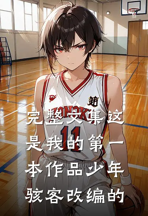 完整文集这是我的第一本作品少年骇客改编的