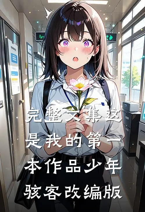 完整文集这是我的第一本作品少年骇客改编版