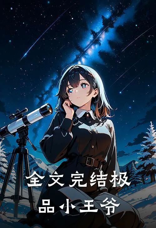全文完结极品小王爷