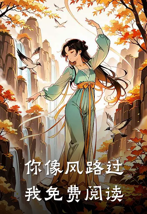 你像风路过我免费阅读