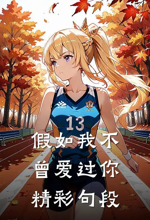 假如我不曾爱过你精彩句段