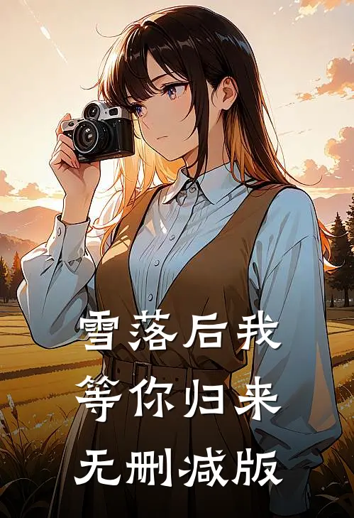 雪落后我等你归来无删减版