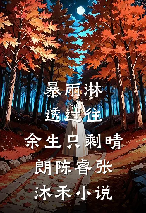 暴雨淋透过往，余生只剩晴朗陈睿张沐禾小说