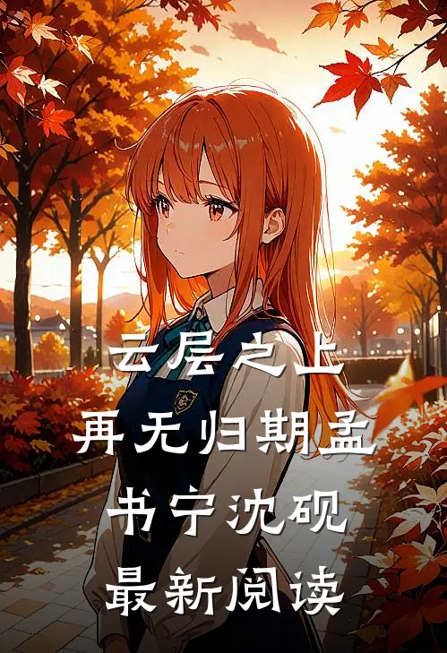 云层之上，再无归期孟书宁沈砚最新阅读