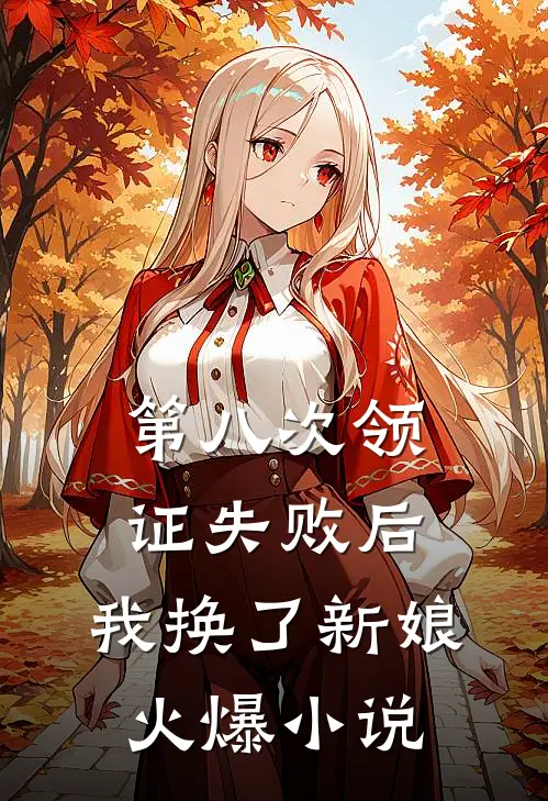 第八次领证失败后，我换了新娘火爆小说