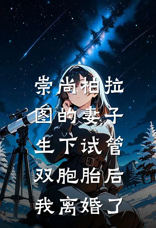 崇尚柏拉图的妻子生下试管双胞胎后，我离婚了
