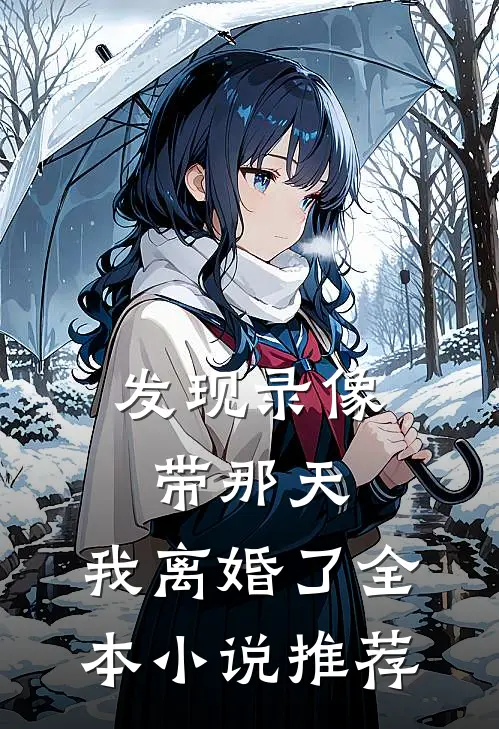 发现录像带那天，我离婚了全本小说推荐