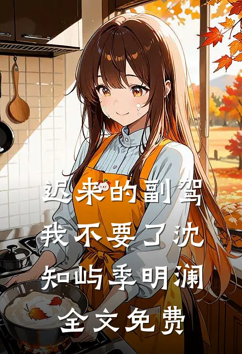 迟来的副驾，我不要了沈知屿季明澜全文免费