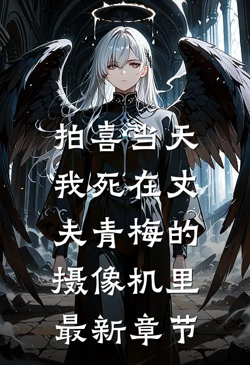 拍喜当天，我死在丈夫青梅的摄像机里最新章节