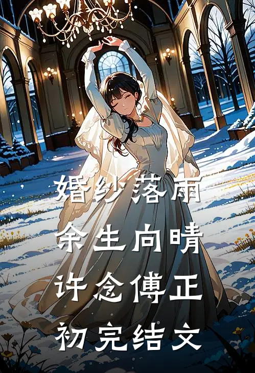 婚纱落雨，余生向晴许念傅正初完结文