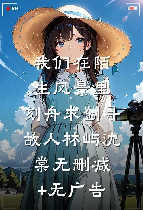 我们在陌生风景里，刻舟求剑寻故人林屿沈棠无删减+无广告