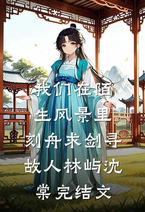 我们在陌生风景里，刻舟求剑寻故人林屿沈棠完结文