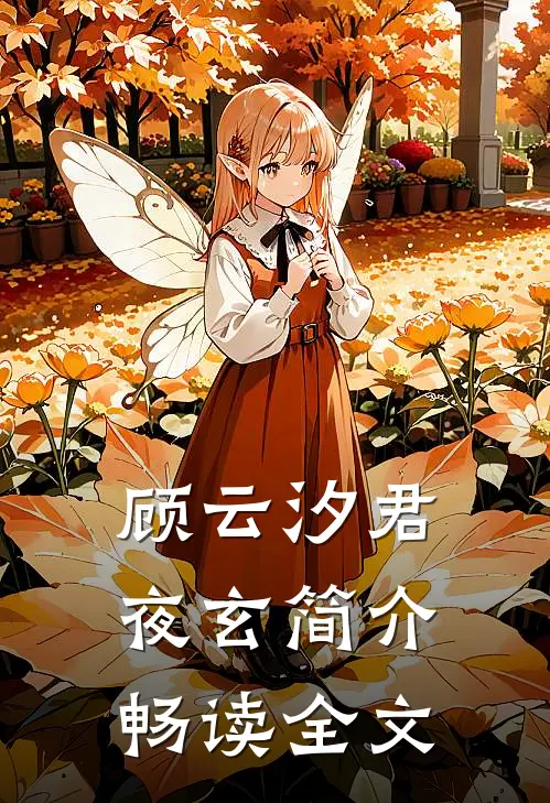 顾云汐君夜玄简介畅读全文