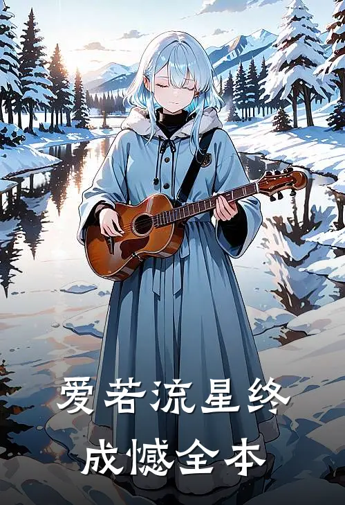 爱若流星终成憾全本