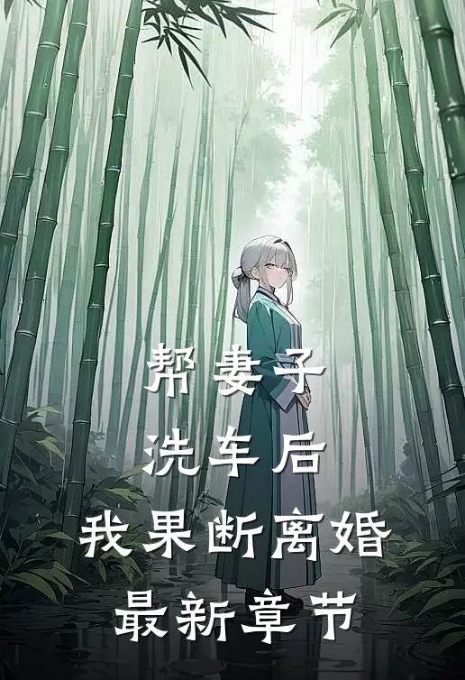 帮妻子洗车后,我果断离婚最新章节