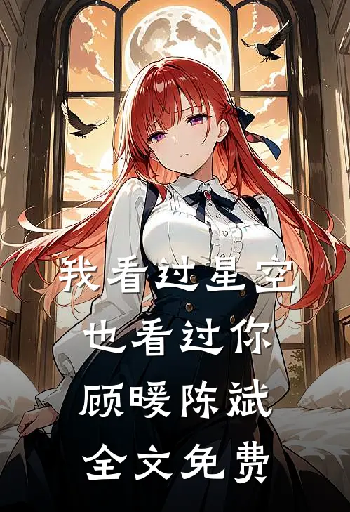 我看过星空,也看过你顾暖陈斌全文免费