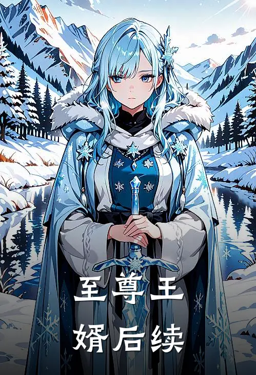 至尊王婿后续